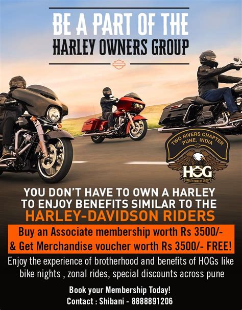 harley davidson hog discount